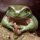 Mutantfrog