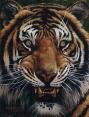 Bengal