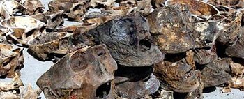 Gansu Skulls