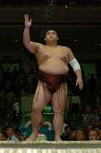 Sumo